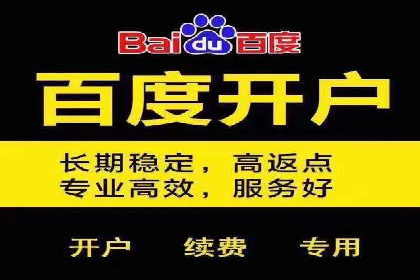 百度竞价推广公司实战案例：打造爆款产品的广告策略